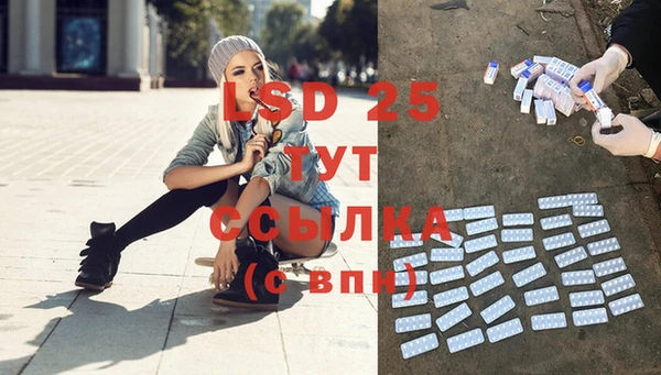 ГАЛЛЮЦИНОГЕННЫЕ ГРИБЫ Фурманов