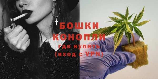 ГАЛЛЮЦИНОГЕННЫЕ ГРИБЫ Фурманов